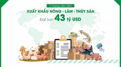 Xuất khẩu nông, lâm, thủy sản tăng 14,2% so với cùng kỳ năm 2020