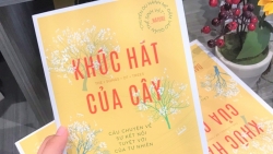 Khúc hát của cây – câu chuyện về sự kết nối tuyệt vời của tự nhiên