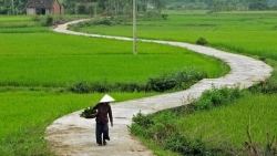 Ngọc Lê Ninh tri ân liệt sĩ với trường ca “Mênh mông miền Trung”