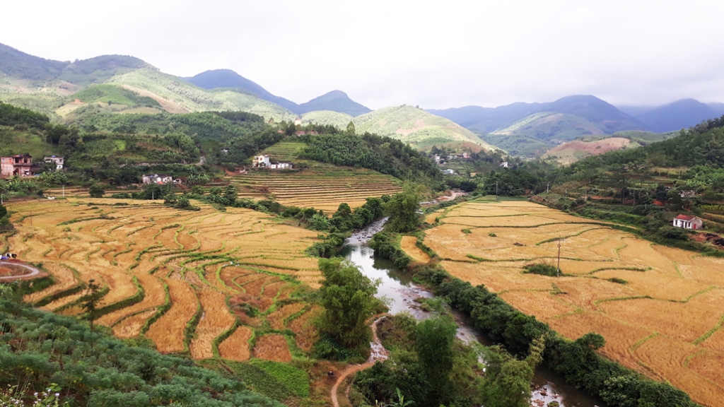 Quảng Ninh lần đầu tiên tổ chức lễ hội "Mùa vàng vùng cao Đại Dực"