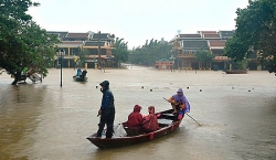 Quảng Nam khẩn trương ứng phó với bão Molave