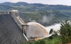 Quảng Nam: Thu hồi quyết định cho thuê đất xây dựng thủy điện Đắk Di 2 tại huyện Nam Trà My