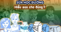 Sữa học đường hiểu sao cho đúng?