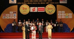 Tingco vinh dự xếp trong Top 50 Nhãn hiệu hàng đầu Việt Nam năm 2019