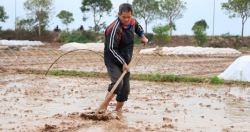 Hà Nội tiến hành lấy nước phục vụ sản xuất nông nghiệp vụ Xuân