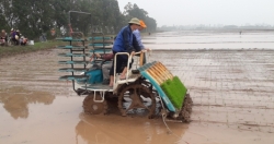 Hà Nội tập trung cao độ lấy nước phục vụ sản xuất nông nghiệp