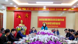 Thạch Thất nỗ lực hoàn thành xây dựng Nông thôn mới trong năm 2020