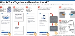 Singapore chia sẻ miễn phí app TraceTogether để phát hiện người nhiễm COVID-19