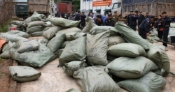Phó Thủ tướng Thường trực chỉ đạo xử lý nghiêm vụ buôn lậu tại Lạng Sơn