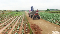 "Nhịp cầu nhà nông" - kênh thông tin hữu ích giúp nông dân làm giàu