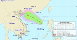 Các tỉnh, thành phố ven biển chủ động ứng phó với vùng áp thấp