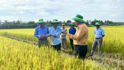 Phân bón Bình Điền: 17 năm liền đạt “Hàng Việt Nam chất lượng cao" do người tiêu dùng bình chọn