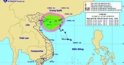 Áp thấp nhiệt đới có thể mạnh thành bão, Bắc Bộ sẽ có mưa rất to