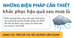 Những biện pháp cần thiết khắc phục hậu quả sau mưa lũ