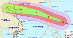 Chủ tịch UBND TP Hà Nội ra công điện khẩn ứng phó siêu bão Mangkhut