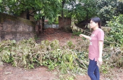 Bắc Giang: Người dân khốn khổ vì chính quyền vô tâm