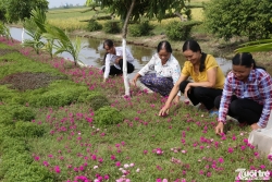 Nông thôn mới, diện mạo mới, sức sống mới