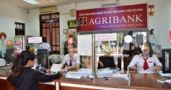 Không ảnh hưởng đến Agribank và tiền gửi của khách hàng