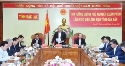 Không để sa mạc hóa vùng đất chiến lược Đắk Lắk