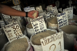 Thái Lan hai năm liền mất danh hiệu gạo ngon nhất thế giới
