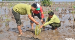 Việt Nam nỗ lực hành động nhằm ứng phó với biến đổi khí hậu