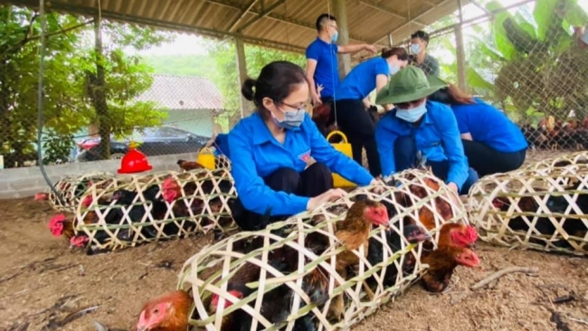 Món quà nặng ân tình của tuổi trẻ Yên Bái gửi tặng người dân Hà Nội