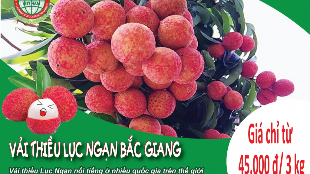 Chung tay tiêu thụ nông sản cho các địa phương bị ảnh hưởng dịch Covid-19