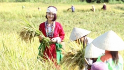 “Vườn rừng Bản Thổ” và chuyện của cô gái bắt “đất cằn nở hoa”